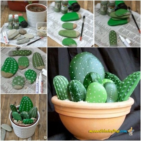 planta-cactus-piedras-DIY-465x465